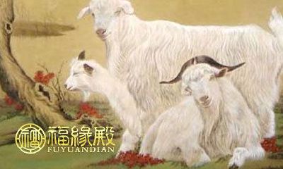 中年之后开始走上人生巅峰的十二生肖