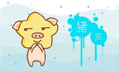 是否有证据表明生肖猪对爬山颇感兴趣？