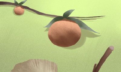 在冰箱上摆放绿萝导致的财务损失：针对不同的摆放位置该如何处理？