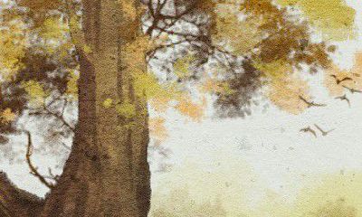 男性左眼上眼皮跳动，预示着什么吉兆或凶兆？男人左眼皮跳动的预兆与意义是什么？