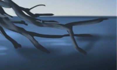 根据中国十二生肖，属鼠的人与哪些属相存在冲突？