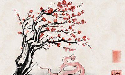 生肖羊女与生肖蛇男配对合适吗？两者之间需要相互磨合才能取得良好结果！