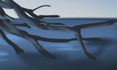 在中国农历日历中，对于出生日期的影响被认为是至关重要的，那么，在癸未年，哪个月份是最佳的出生时间呢？