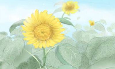 水命和土命的婚配可行性如何，是否合适？