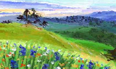 如何改善家庭风水，防止儿子败家、财位脏乱败家？