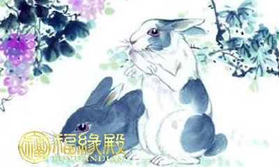 哪些属兔人的出生时辰能够拥有财富旺盛的命运？