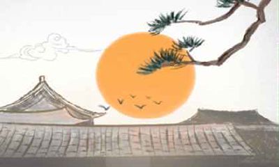 在风水方面，如何选择适合房间的植物种类？有哪些基本原则需要遵循？