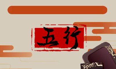 命运中缺少木属性，是否必须进行木属性补全？影响与探讨