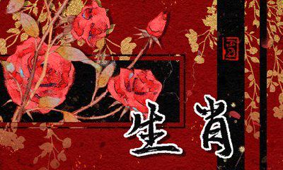 哪个生肖最适合与雄性老鼠搭配？属龙女无需犹豫！