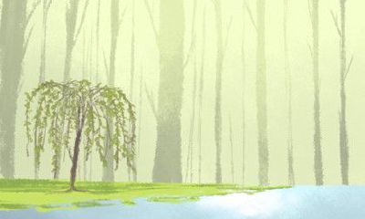 探究应对霉运最有效的方法，有哪些有效可行的方法可供选择？