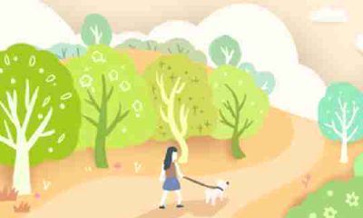 今年52岁的人属于哪个生肖？他们的运势如何？