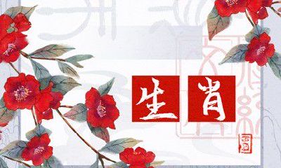 哪个生肖最适合与蛇组合搭配，并且生肖鸡的性格与其互补？