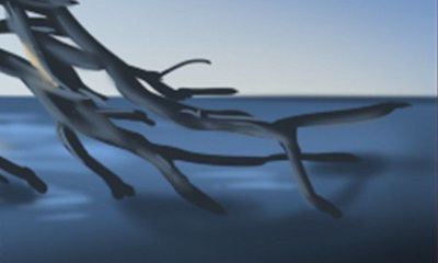 如何通过观察耳朵判断人的福气状况？探秘丰富多彩的耳相学！