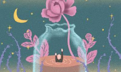 2023年属兔本命年运势：需谨慎小心