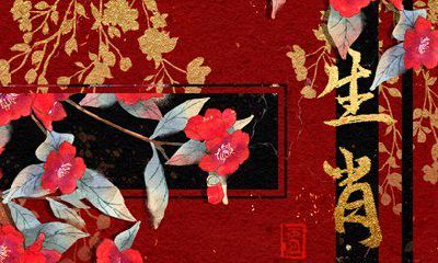 适合兔生肖的玉生肖搭配是什么？能适用于佩戴生肖虎吗？