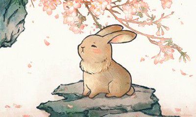 属兔女2023本命年的幸运色是白色，非常适合！