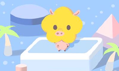 属猪本命年是否适合穿红色？文化传统与信仰的影响