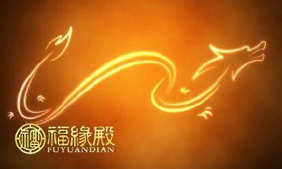 属龙婚配表：适合88年出生人的属相配对