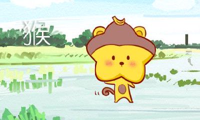 ：探究1992男猴与1999女兔的婚姻，幸福程度如何？