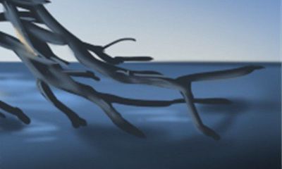 超级幸运的数字：1971年属猪人的独特吉祥号码详解