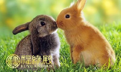 1987年出生的属兔人2022年的运势预测