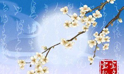 2023年刘姓婴儿起名指南：深入剖析 吉利美妙名字的设计与选择技巧