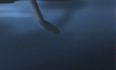 深入剖析：欲养正宗桃木剑，细节不容忽视，一旦误操作千万别挂，这话到底有没有道理？