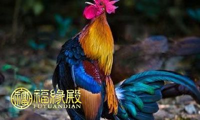 如何保护自己免受小人负面影响？ 十月份需要注意的几大生肖