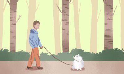 在教师节这一特殊日子举行婚礼是否合适？这一行为是否存在特别的文化意义和讲究？