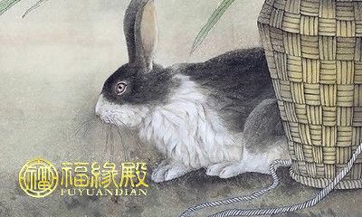 哪些属相与属兔相克不和谐？