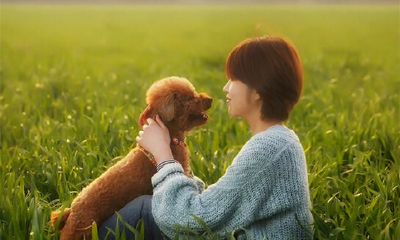 你知道属相蛇适合哪些职业吗？让我们来探讨一下！