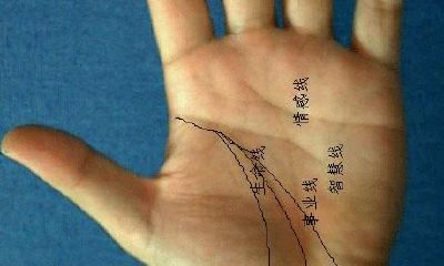 通过读取掌纹，掌握人生命运趋势的秘密