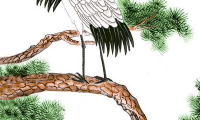 通过周公解梦，如果你梦见仙鹤，这到底预示着什么呢？