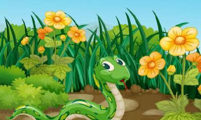 如何展现自己在工作和生活中的闪光点，让属蛇人的个性和才华得以充分展现？