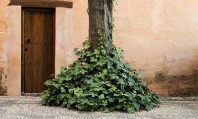 探测你内心深处的性格秘辛：来测测吧！