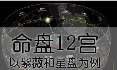 以紫薇和星盘为例，深入探讨命盘的十二宫分析方法
