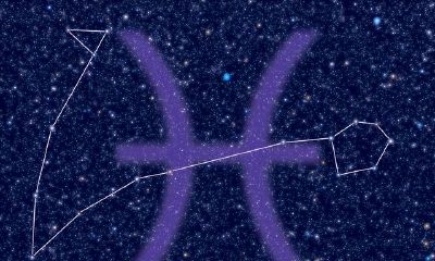 探析非纯种双鱼座的15项特性，占据双鱼座特质清单的超过11项