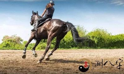 在梦中驾驭骏马奔向终点，却未到达目的地，传来沉重的背摔声，顷刻之间，马儿在疼痛中离开人世