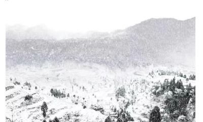 看看这4种大雪纷飞的风景场景，你最钟情于哪个？通过这个心理测试，了解您在恋爱关系中是否会被委屈