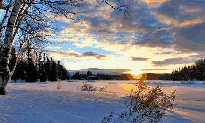 根据农历出生月判断女性婚姻状况的命理运势与分析