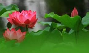 细致剖析2019年7月23日干支卦象，揭示肇始星座及各项运势变化