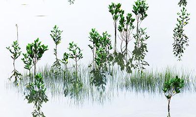 寻根探源：孔姓的来源和起源地在哪里？