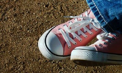 2022年属相猪男综合运势详尽预测大全