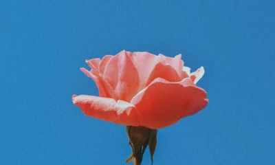 金牛座存在多个被轻视的缺陷，你是否已经察觉？