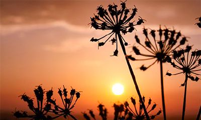 谭姓明星真有存在吗？究竟有哪些谭姓历史名人备受瞩目？