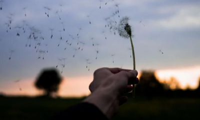 揭秘天秤座常被人忽视的四大特点，让你更全面了解这个星座