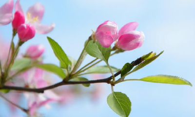 狮子座的心灵深处有着极其细腻的敏感性，你掌握了这种深度感悟有多重要吗？