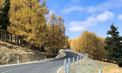 有什么好的名字适合2022年秋季出生的小虎宝宝？