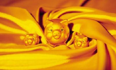 肖猪人出生年份注定了他们将享有来自神灵的福祉，而当他们迎来四十岁之后，随之而来的是富贵的巨大机遇，最终能够独享令人羡慕的清福生活