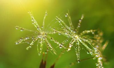 2020年惊蛰出生的女婴五行缺金，该如何取一个好听寓意丰富的名字？